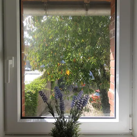 Holiday home Au Petit Jardin D *